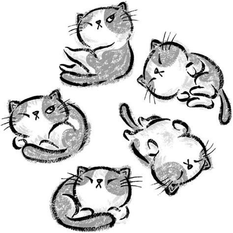 Impudent Cats Relax By Toru Sanogawa Character