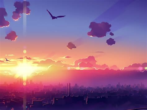 Wallpaper Clouds Bird Cityscape Sunset Anime Landscape Horizon