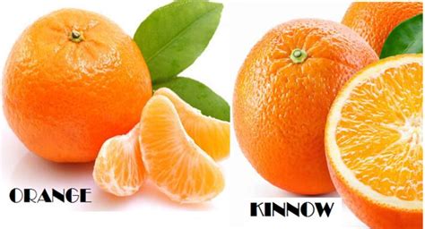 Orange Vs Kinnow Which Is More Nutritious L