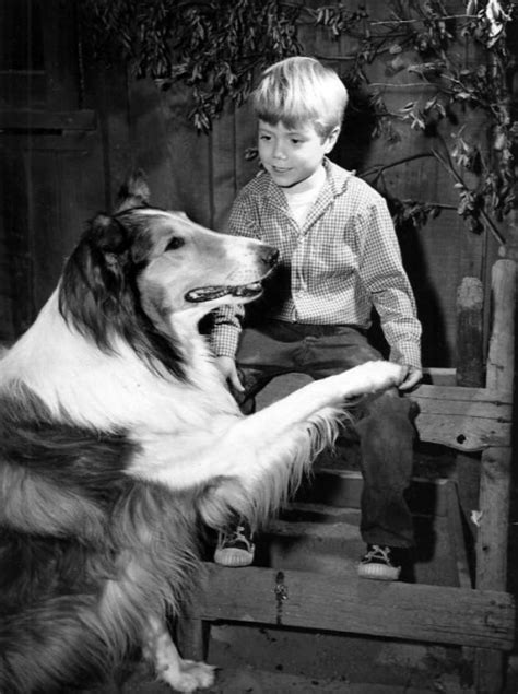 Most Beloved Dogs In Tv History Famous Dogs Childhood Tv Shows Dog