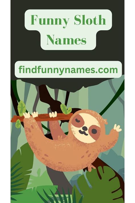Funny Sloth Names 200 Unique Ideas In 2023 Sloth Names Sloths Funny Funny Names