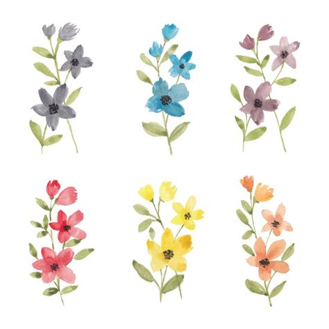Colorful Wildflower Watercolor Collection 1234156 Vector Art At Vecteezy