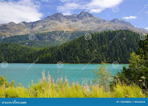 Champfer Alpine Lake Surrounded By Mountains Covered In Greenery Under