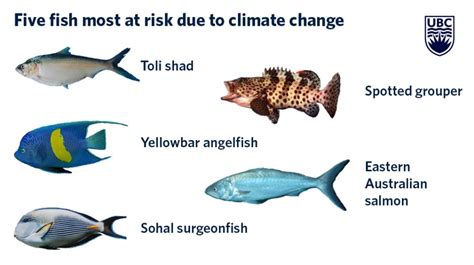 Some Marine Species More Vulnerable To Climate Change Than Others