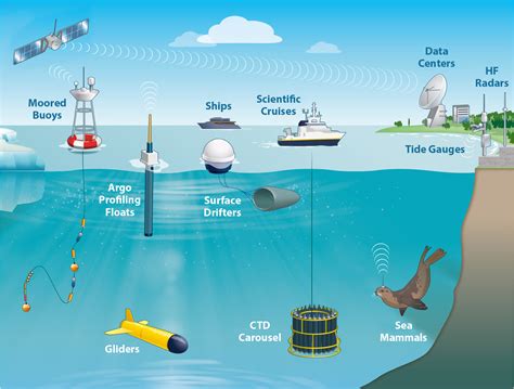 Monitoring Boundary Currents Using Ocean Observing Infrastructure