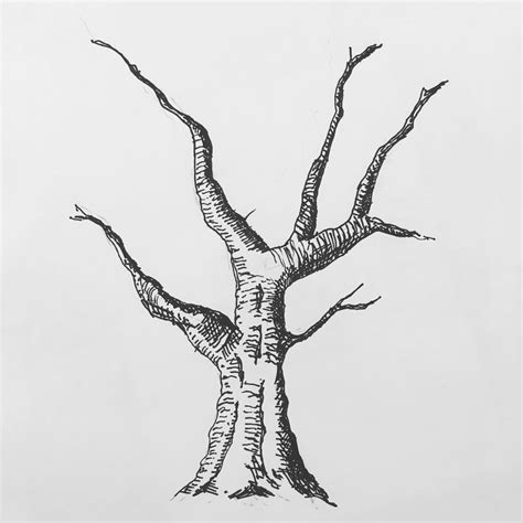 √ Pen And Ink Drawing Tree Popular Century