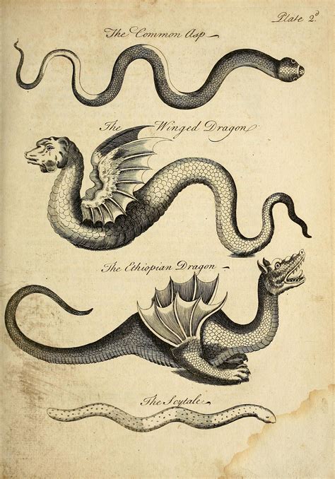 Dragons An Essay Towards A Natural History Of Serpents In Two Parts