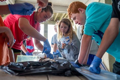 Marine Biology Summer Camp Programs In Nc Sea Turtle Camp