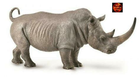 White Rhino Wildlife Toy Model By Collecta 88852 Redworld Toys And Models