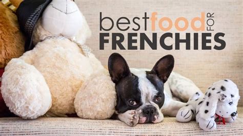 We've made this important decision easy for you by reviewing the top options for puppies and adults. Best Food for French Bulldogs: Help Your Frenchie Reach ...