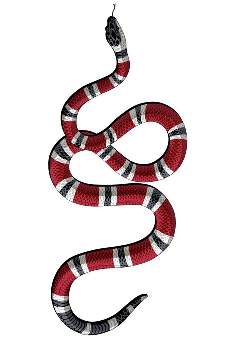 We did not find results for: Gucci Snake Wallpapers - Wallpaper Cave