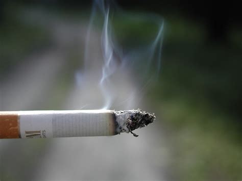 Occasional Smokers Also Have An Increased Risk Of Stroke Thehealthmania