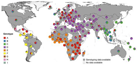genes free full text the global hepatitis b virus genotype distribution approximated from