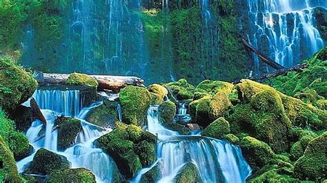 Waterfalls Between Algae Covered Stone Rocks Pouring On River Nature