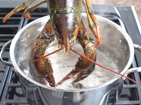 How To Cook Lobster