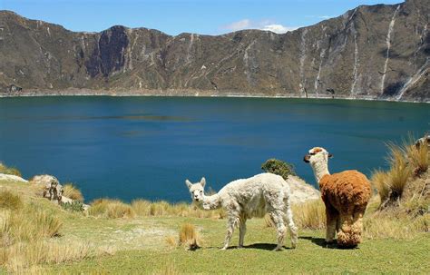 Lo Que Necesitas Saber Sobre El Clima En Ecuador