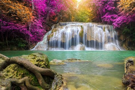 Lotus Flower Waterfall Beautiful Nature Wallpaper Beautiful Waterfalls