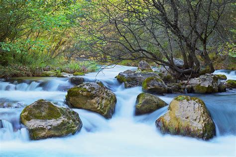 Blurred River Water With Tree And Rocks Inside And Green Trees And