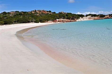 Budelli is an island in the maddalena archipelago, near the strait of bonifacio in northern sardinia, italy. Salvate Mauro Morandi, custode dell'Isola di Budelli