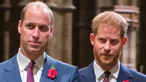 Prince William Regrets Feud Causing Chat With Prince Harry The Fashion Central