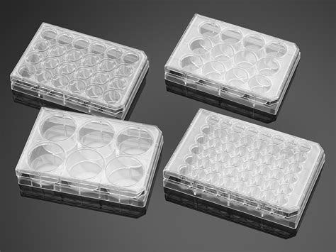 Falcon® 6 Well Clear Flat Bottom Tc Treated Multiwell Cell Culture Plate With Lid Individually