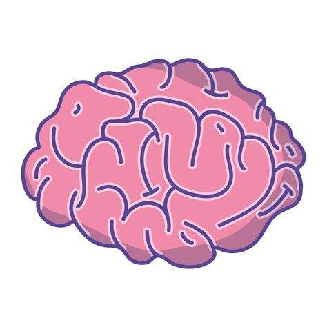 Human Brain Anatomy To Creative And Intellect 655670 Vector Art At Vecteezy