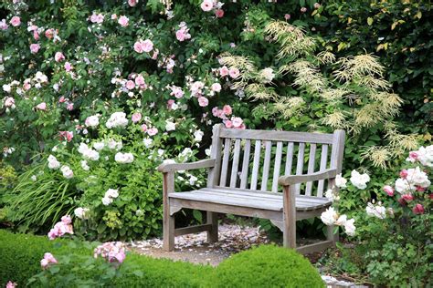 Image Result For English Garden Ideas Rose Garden Design English