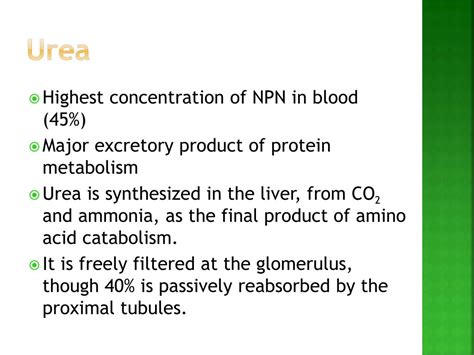 Ppt Non Protein Nitrogen Npn Compounds Urea Creatinine And Uric