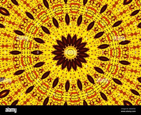 Sun Flower Kaleidoscope Background Beautiful Yellow Sunflowers
