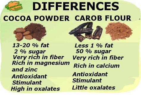 Differences Between Cocoa And Carob Botanical Online