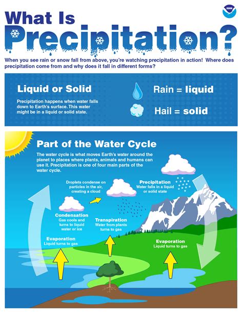Types Of Precipitation For Kids