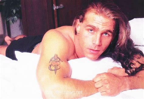 Pin By Heather Sellitti On Shawn Michaels Shawn Michaels Wwe Shawn