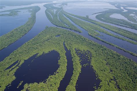 Private Rio Negro Cruise Discover The Secrets Of The Amazon