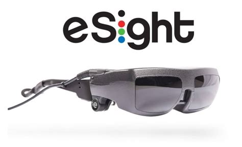 Can These Glasses Really Help The Blind See 5w Pr Insights