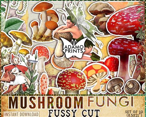Mushroom Fungi Fussy Cut Junk Journal Kit Ephemera Classic Etsy