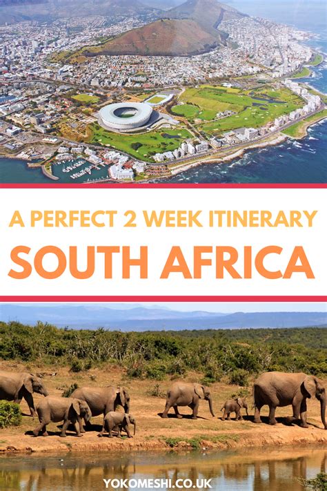 10 Days In South Africa Itinerary Beaches Cities And Safari Africa