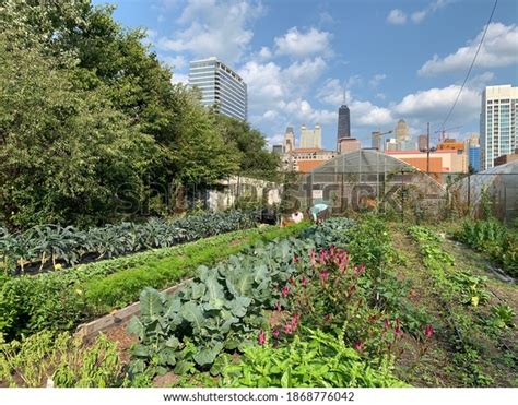152518 Urban Farms Images Stock Photos And Vectors Shutterstock