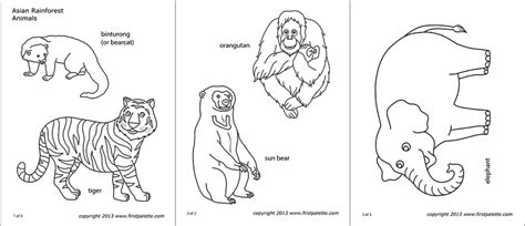 Asian Jungle Or Rainforest Animals Free Printable Templates