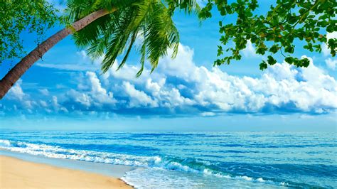 Картинка природа море пальма волны облака фотошоп на рабочий стол