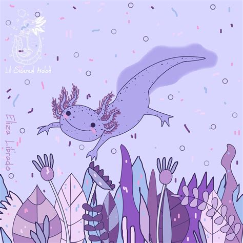 Cartoon Axolotl Wallpaper Axolotl Phone Desktop Wallpapers Pictures