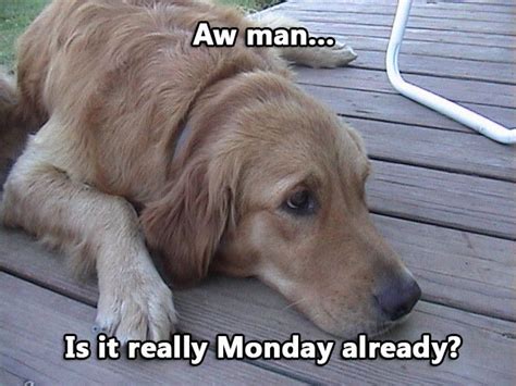 Yup Its Monday What Helps You Get Through The Monday Morning Blues