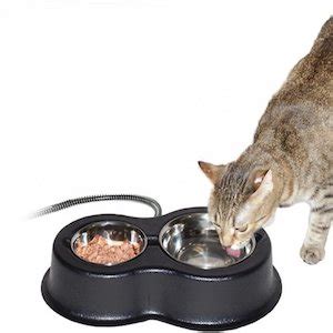 Raised pet bowls for cats dogs bamboo elevated dog cat food water feeding. The 5 Best Heated Cat Water Bowls of 2021 - Cat Loves Best