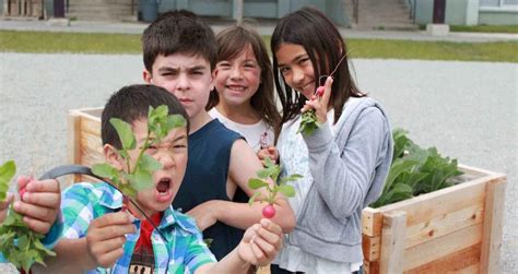 Earthbites Vancouver Based School Gardens Eat Grow Learn