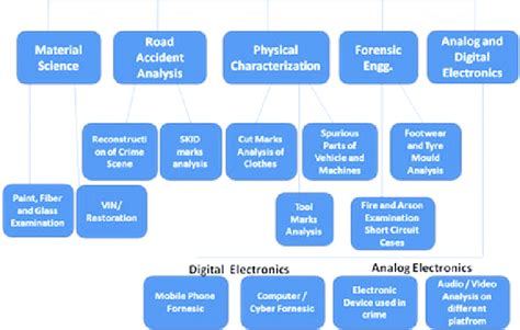 Branches Of Forensic Science Those Are Dealt By Physics Divisions In