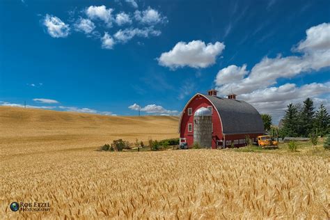 Wallpaper Food Nature Sky Field Photography Farm Wheat Harvest