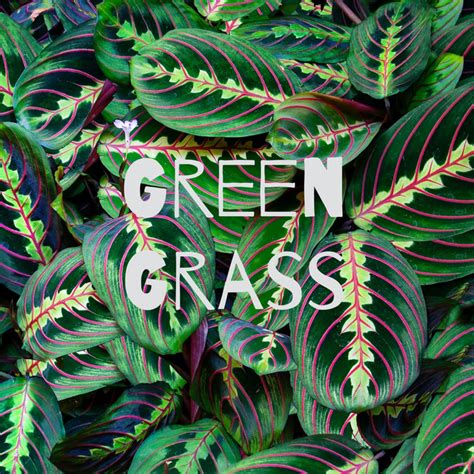 Green Grass Podcast On Spotify