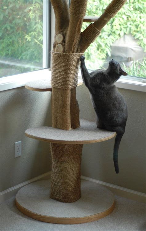 Turn An Old Tree Into A Classy Cat Tower Diy Projects For Everyone