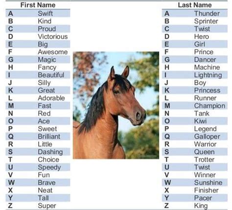 Unique Horse Names Uniqe Ideas
