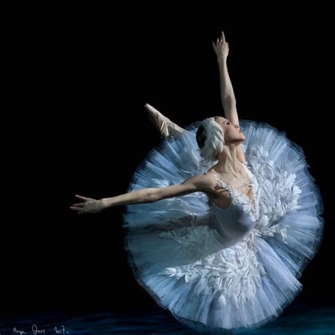 Alina Somova Алина Сомова Swan Lake Swan Lake Ballerina Swan Lake