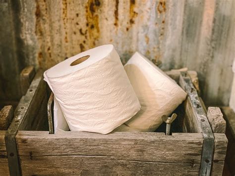 The Great Big List Of Toilet Paper Alternatives The Prairie Homestead